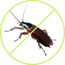 protection item image 1